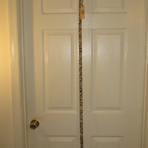 Snake skin Belt - Picture 2 of 3